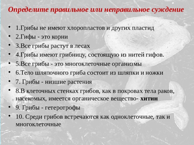 Определите правильное или неправильное суждение 1.Грибы не имеют хлоропластов и других пластид 2.Гифы - это корни 3.Все грибы растут в лесах 4.Грибы имеют грибницу, состоящую из нитей гифов. 5.Все грибы - это многоклеточные организмы 6.Тело шляпочного гриба состоит из шляпки и ножки 7. Грибы - низшие растения 8.В клеточных стенках грибов, как в покровах тела раков, насекомых, имеется органическое вещество- хитин 9. Грибы - гетеротрофы 10. Среди грибов встречаются как одноклеточные, так и многоклеточные 