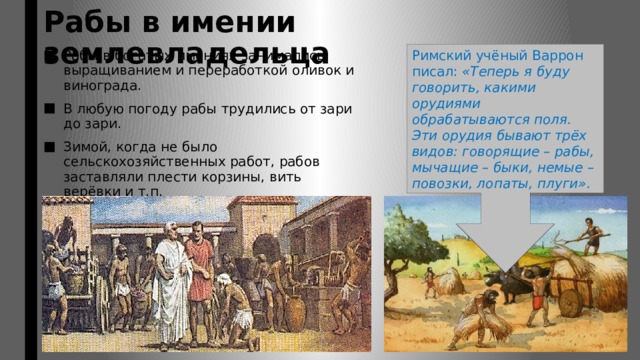 Рабы в имении землевладельца Римский учёный Варрон писал: «Теперь я буду говорить, какими орудиями обрабатываются поля. Эти орудия бывают трёх видов: говорящие – рабы, мычащие – быки, немые – повозки, лопаты, плуги». Рабы в богатых имениях занимались выращиванием и переработкой оливок и винограда. В любую погоду рабы трудились от зари до зари. Зимой, когда не было сельскохозяйственных работ, рабов заставляли плести корзины, вить верёвки и т.п. 