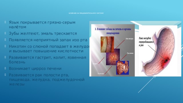     Влияние на пищеварительную систему Язык покрывается грязно-серым налётом Зубы желтеют, эмаль трескается Появляется неприятный запах изо рта Никотин со слюной попадает в желудок и вызывает повышение кислотности Развивается гастрит, колит, язвенная болезнь Возникает цирроз печени Развивается рак полости рта, пищевода, желудка, поджелудочной железы 