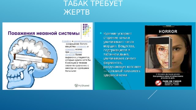 Табак требует жертв 