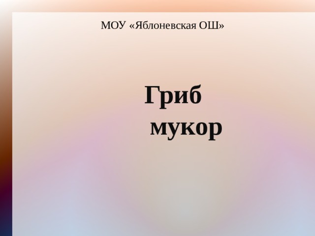 МОУ «Яблоневская ОШ»   Гриб  мукор 