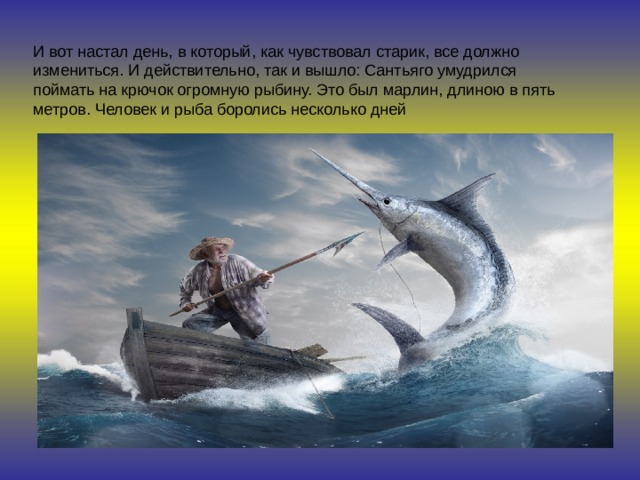 И вот настал день, в который, как чувствовал старик, все должно измениться. И действительно, так и вышло: Сантьяго умудрился поймать на крючок огромную рыбину. Это был марлин, длиною в пять метров. Человек и рыба боролись несколько дней 