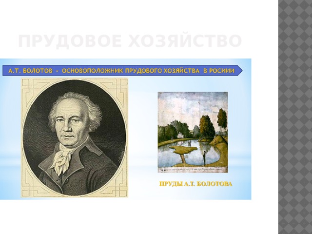 Прудовое хозяйство 