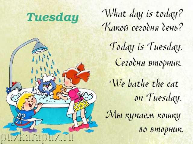 Tuesday 