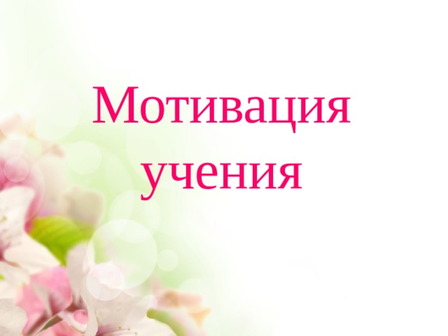 Мотивация учения 