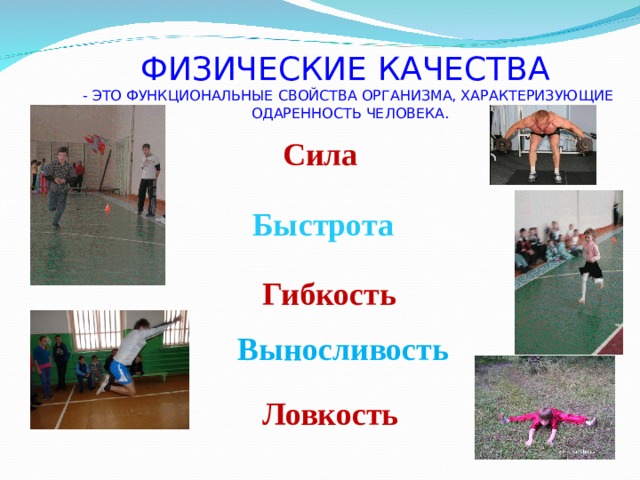  ФИЗИЧЕСКИЕ КАЧЕСТВА  - ЭТО  ФУНКЦИОНАЛЬНЫЕ СВОЙСТВА ОРГАНИЗМА, ХАРАКТЕРИЗУЮЩИЕ  ОДАРЕННОСТЬ ЧЕЛОВЕКА. Сила Быстрота Гибкость Выносливость Ловкость 