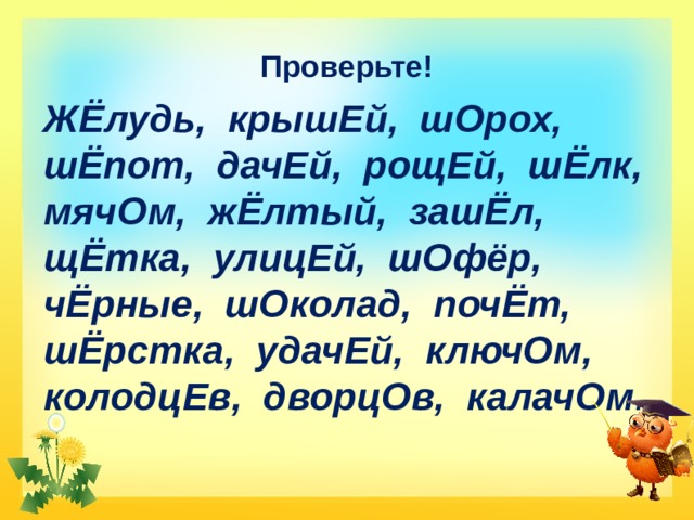 Проверьте!  ЖЁлудь, крышЕй, шОрох, шЁпот, дачЕй, рощЕй, шЁлк, мячОм, жЁлтый, зашЁл, щЁтка, улицЕй, шОфёр, чЁрные, шОколад, почЁт, шЁрстка, удачЕй, ключОм, колодцЕв, дворцОв, калачОм . 