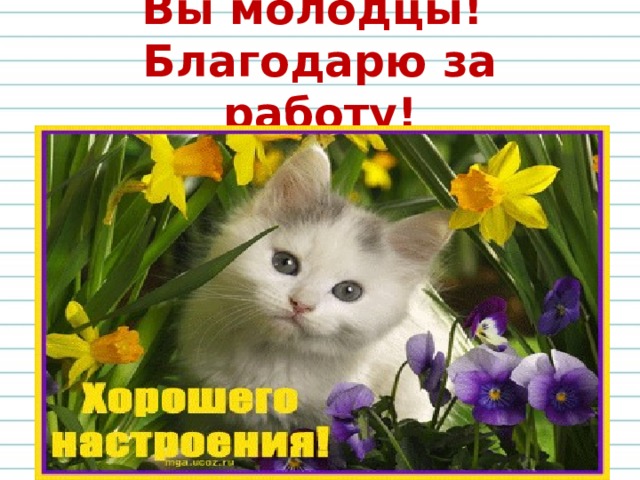 Вы молодцы!  Благодарю за работу! 
