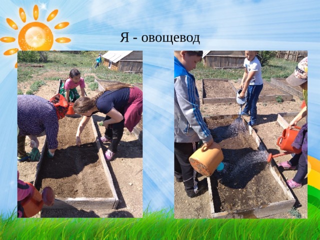 Я - овощевод 