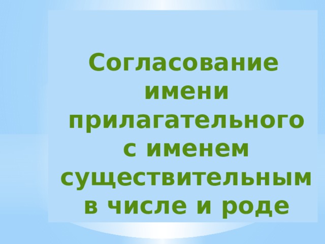  Согласование имени прилагательного с именем существительным в числе и роде 