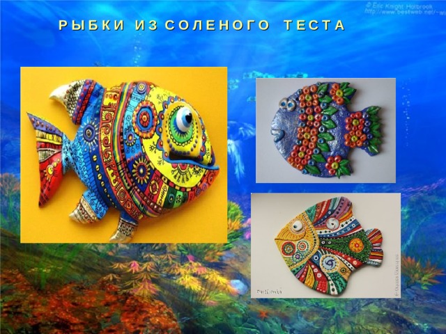 Р Ы Б К И И З С О Л Е Н О Г О Т Е С Т А  