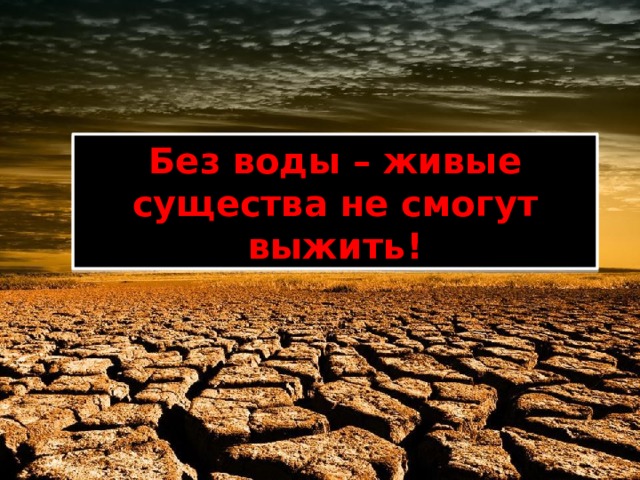 Без воды – живые существа не смогут выжить! 