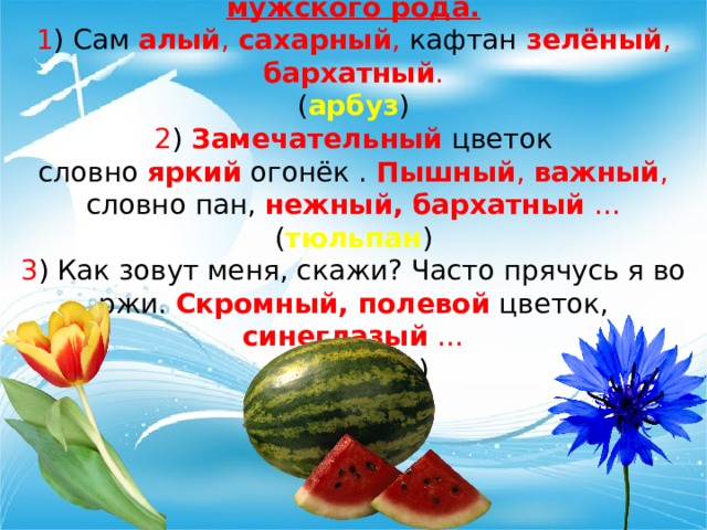 Имя прилагательное единственного числа мужского рода. 1 ) Сам  алый , сахарный ,  кафтан   зелёный , бархатный . ( арбуз ) 2 )  Замечательный  цветок словно  яркий  огонёк . Пышный , важный , словно пан,  нежный,  бархатный   … ( тюльпан ) 3 ) Как зовут меня, скажи? Часто прячусь я во ржи. Скромный, полевой  цветок, синеглазый … ( василёк ) 