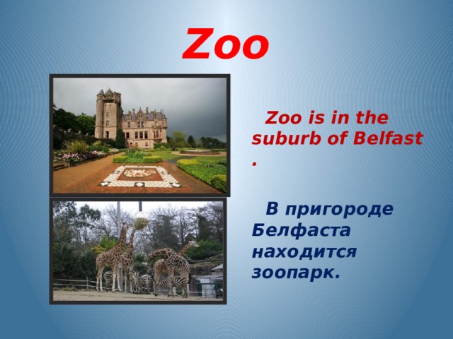 Zoo   Zoo is in the suburb of Belfast .   В пригороде Белфаста находится зоопарк.   