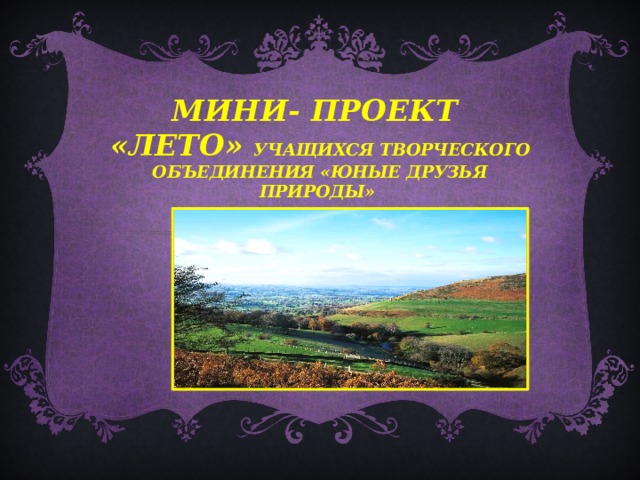 МИНИ- ПРОЕКТ «Лето» УЧАЩИХСЯ ТВОРЧЕСКОГО ОБЪЕДИНЕНИЯ «Юные друзья природы»  