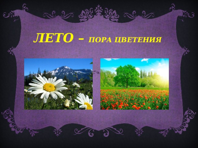 ЛЕТО – пора цветения  