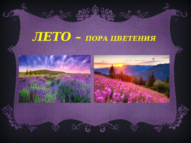 ЛЕТО – пора цветения  