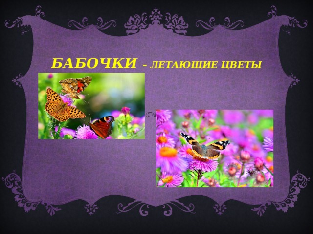 Бабочки – летающие цветы  