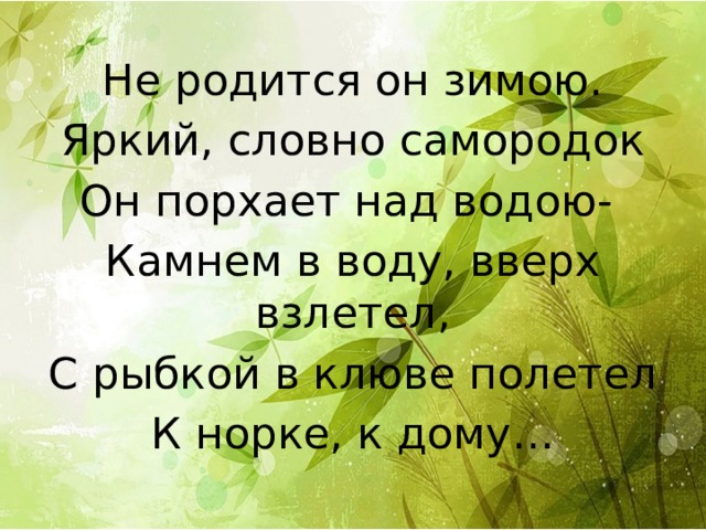 Не родится он зимою. Яркий, словно самородок Он порхает над водою-  Камнем в воду, вверх взлетел, С рыбкой в клюве полетел К норке, к дому… 