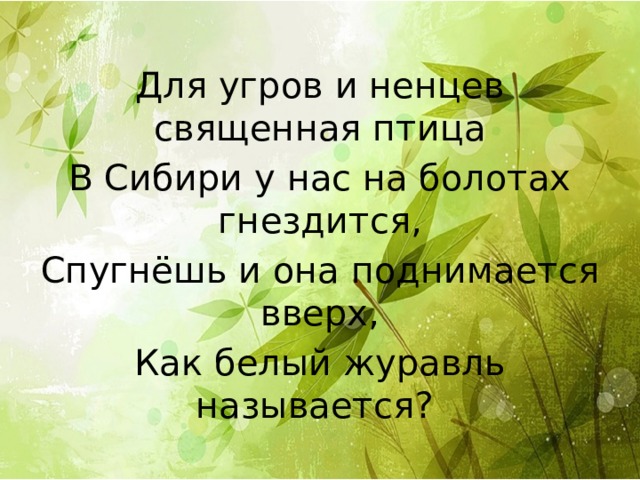 Для угров и ненцев священная птица В Сибири у нас на болотах гнездится, Спугнёшь и она поднимается вверх, Как белый журавль называется? 