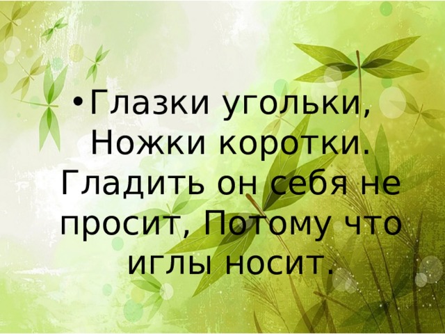Глазки угольки, Ножки коротки. Гладить он себя не просит, Потому что иглы носит. 