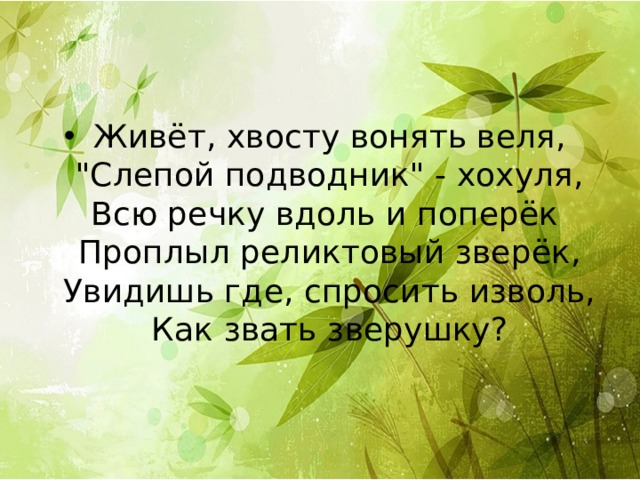 Живёт, хвосту вонять веля,  