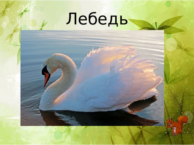 Лебедь 