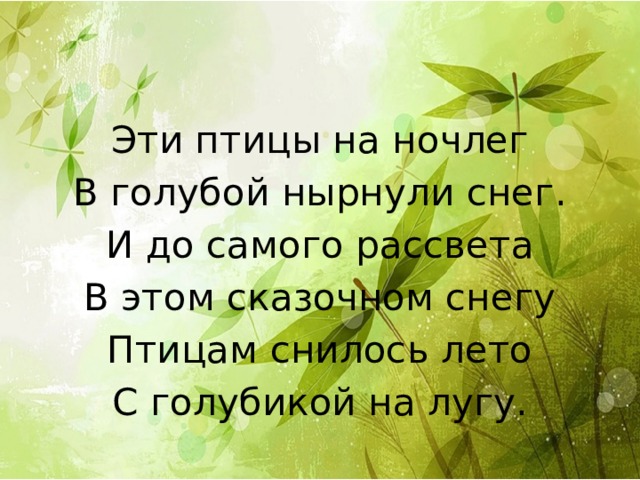 Эти птицы на ночлег В голубой нырнули снег. И до самого рассвета В этом сказочном снегу Птицам снилось лето С голубикой на лугу. 