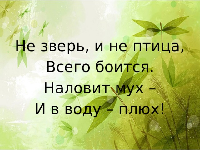 Не зверь, и не птица, Всего боится. Наловит мух – И в воду – плюх! 