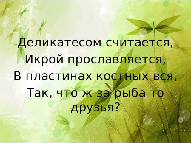 Деликатесом считается, Икрой прославляется, В пластинах костных вся, Так, что ж за рыба то друзья? 