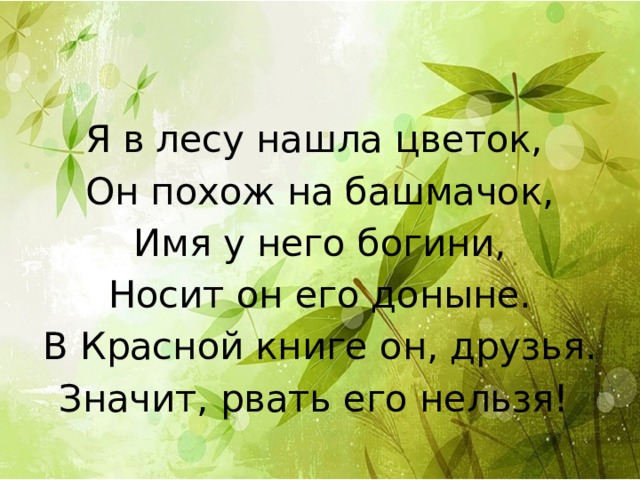 Я в лесу нашла цветок, Он похож на башмачок, Имя у него богини, Носит он его доныне. В Красной книге он, друзья. Значит, рвать его нельзя! 