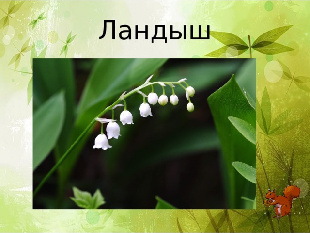 Ландыш 