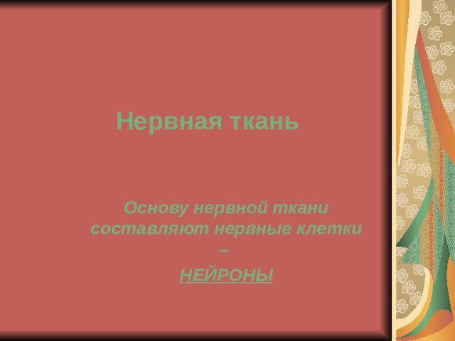 Нервная ткань Основу нервной ткани составляют нервные клетки – НЕЙРОНЫ 
