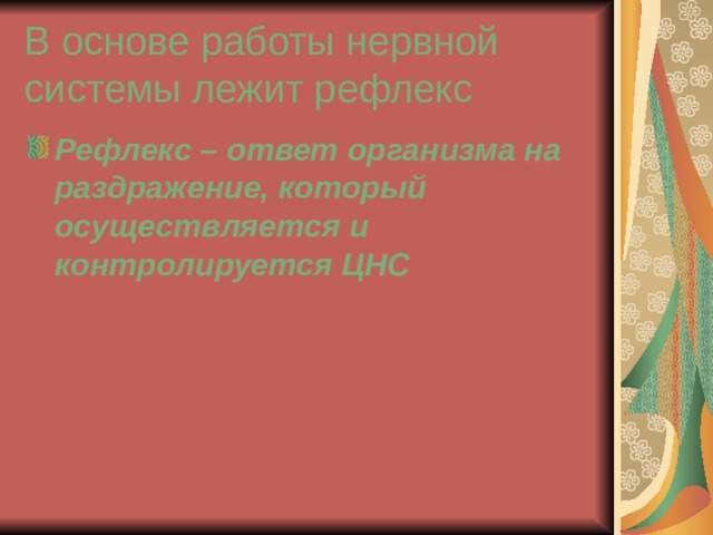 В основе работы нервной системы лежит рефлекс Рефлекс – ответ организма на раздражение, который осуществляется и контролируется ЦНС 