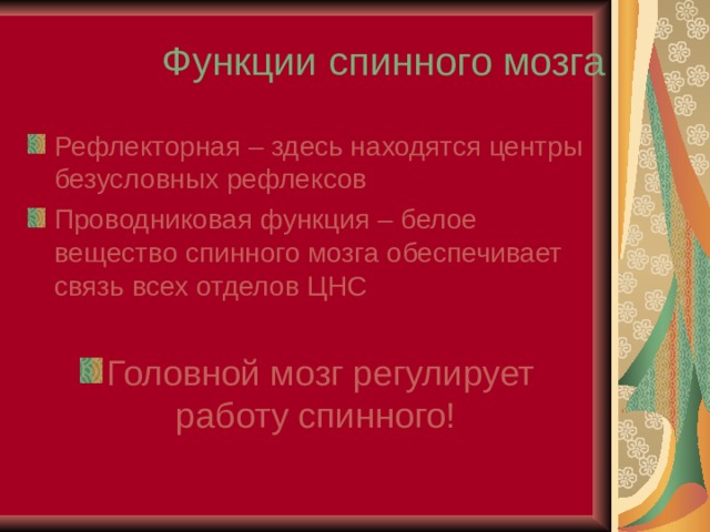 Функции спинного мозга Рефлекторная – здесь находятся центры безусловных рефлексов Проводниковая функция – белое вещество спинного мозга обеспечивает связь всех отделов ЦНС  Головной мозг регулирует работу спинного! 