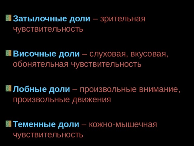 Затылочные доли – зрительная чувствительность Височные доли – слуховая, вкусовая, обонятельная чувствительность Лобные доли – произвольные внимание, произвольные движения Теменные доли – кожно-мышечная чувствительность 