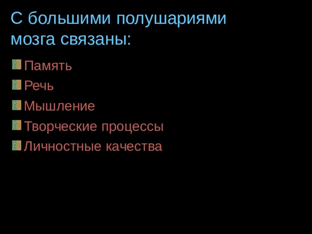 С большими полушариями мозга связаны: Память Речь Мышление Творческие процессы Личностные качества  