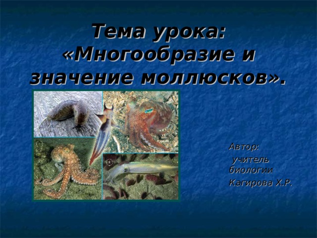 Тема урока: «Многообразие и значение моллюсков». Автор:  учитель биологии Кагирова Х.Р.  