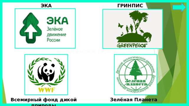 ЭКА ГРИНПИС ЭКОЛОГИЧЕСКИЕ ОРГАНИЗАЦИИ Всемирный фонд дикой природы Зелёная Планета 