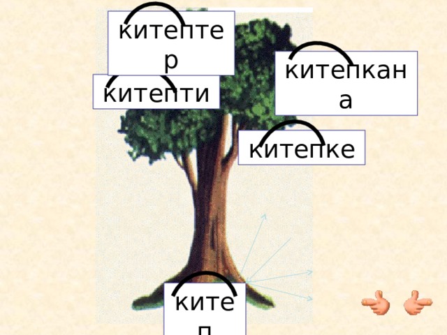 китептер китепкана китепти китепке китеп 