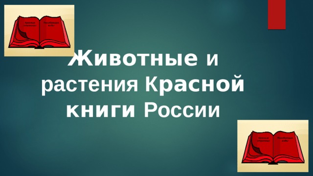 Животные и растения К расной книги России  