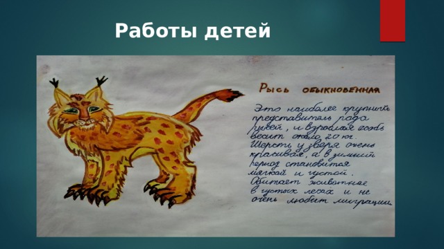 Работы детей 