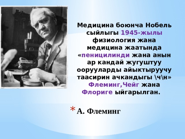 Медицина боюнча Нобель сыйлыгы 1945-жылы физиология жана медицина жаатында « пеницилинди жана анын ар кандай жугуштуу оорууларды айыктыруучу таасирин ачкандыгы \ч\н» Флеминг,Чейг жана Флориге ыйгарылган. А. Флеминг 