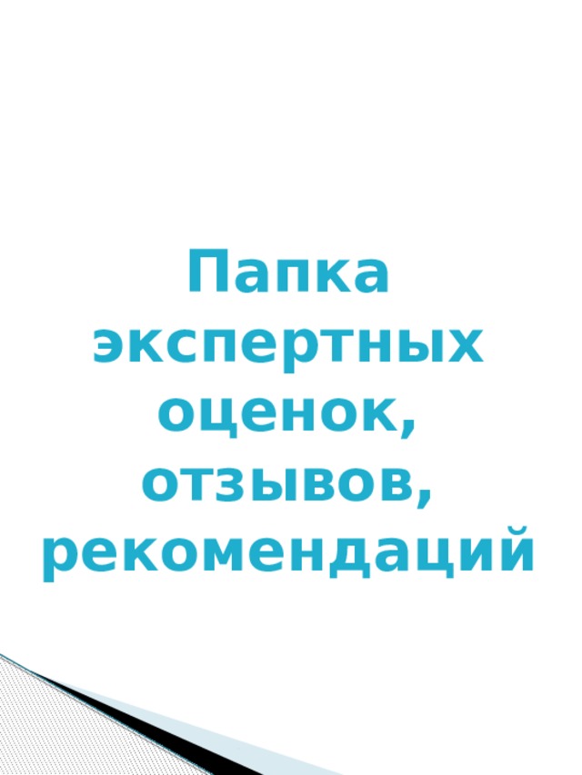 Папка экспертных оценок, отзывов, рекомендаций 