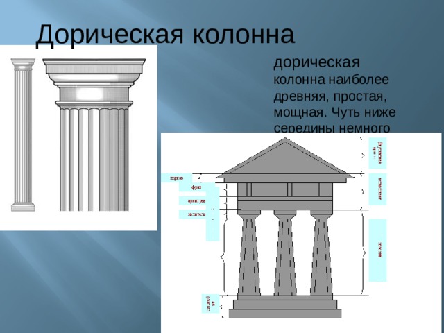 Дорическая колонна дорическая колонна наиболее древняя, простая, мощная. Чуть ниже середины немного утолщена 