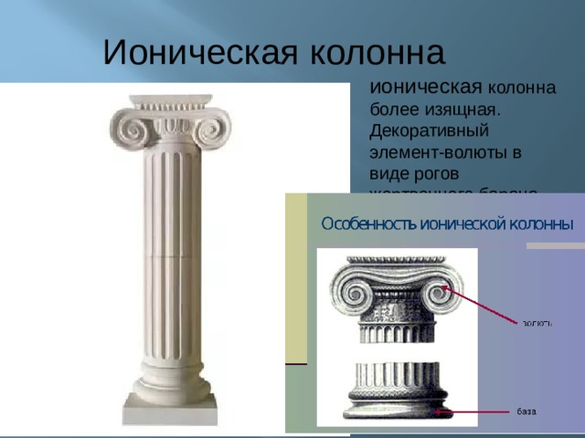 Ионическая колонна ионическая колонна более изящная. Декоративный элемент-волюты в виде рогов жертвенного барана. 