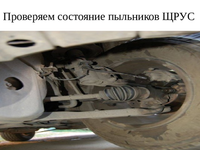 Проверяем состояние пыльников ЩРУС 