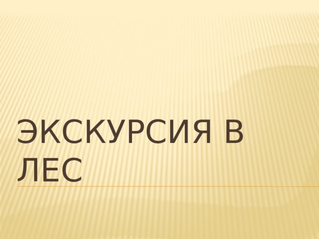 Экскурсия в лес 