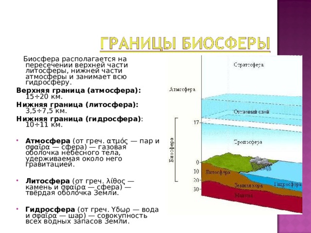  Биосфера располагается на пересечении верхней части литосферы, нижней части атмосферы и занимает всю гидросферу. Верхняя граница (атмосфера): 15÷20 км. Нижняя граница (литосфера): 3,5÷7,5 км. Нижняя граница (гидросфера) : 10÷11 км. Атмосфера (от греч. ατμός — пар и σφαῖρα — сфера) — газовая оболочка небесного тела, удерживаемая около него гравитацией.  Литосфера (от греч. λίθος — камень и σφαίρα — сфера) — твёрдая оболочка Земли.  Гидросфера (от греч. Yδωρ — вода и σφαῖρα — шар) — совокупность всех водных запасов Земли. 