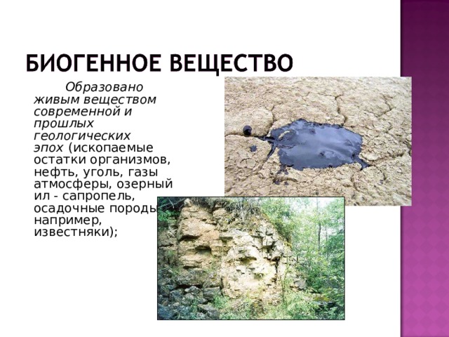   Образовано живым веществом современной и прошлых геологических эпох  (ископаемые остатки организмов, нефть, уголь, газы атмосферы, озерный ил - сапропель, осадочные породы, например, известняки); 
